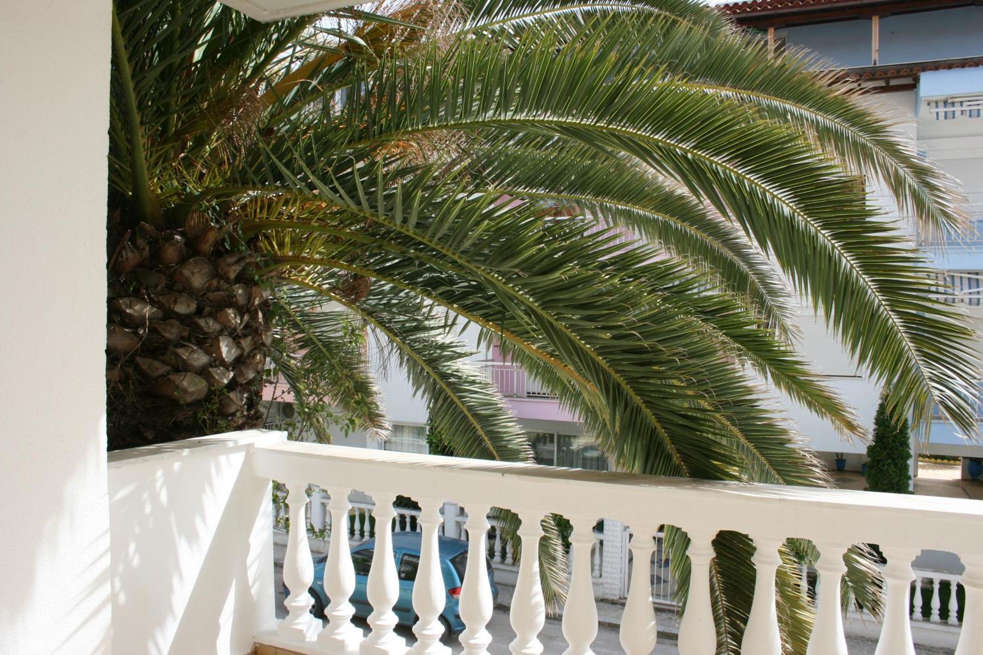Dionisos Palms Apartments Paralia Dionysiou Ngoại thất bức ảnh