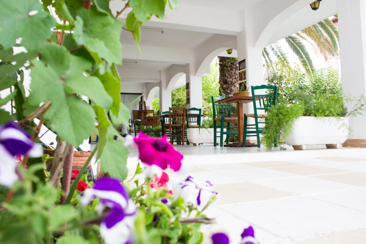 Dionisos Palms Apartments Paralia Dionysiou Ngoại thất bức ảnh